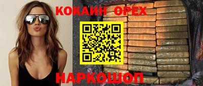 МДПВ Кингисепп