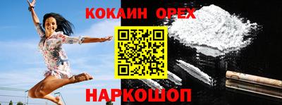 МДПВ Кингисепп