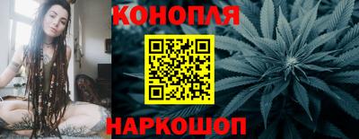 МДПВ Кингисепп