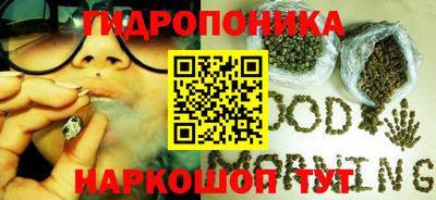 МДПВ Кингисепп