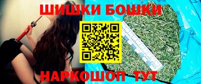 МДПВ Кингисепп