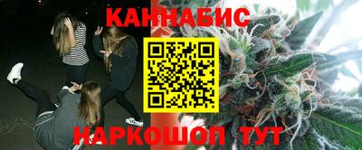 МДПВ Кингисепп