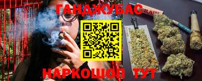 МДПВ Кингисепп