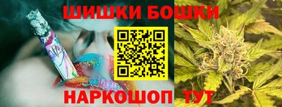 МДПВ Кингисепп