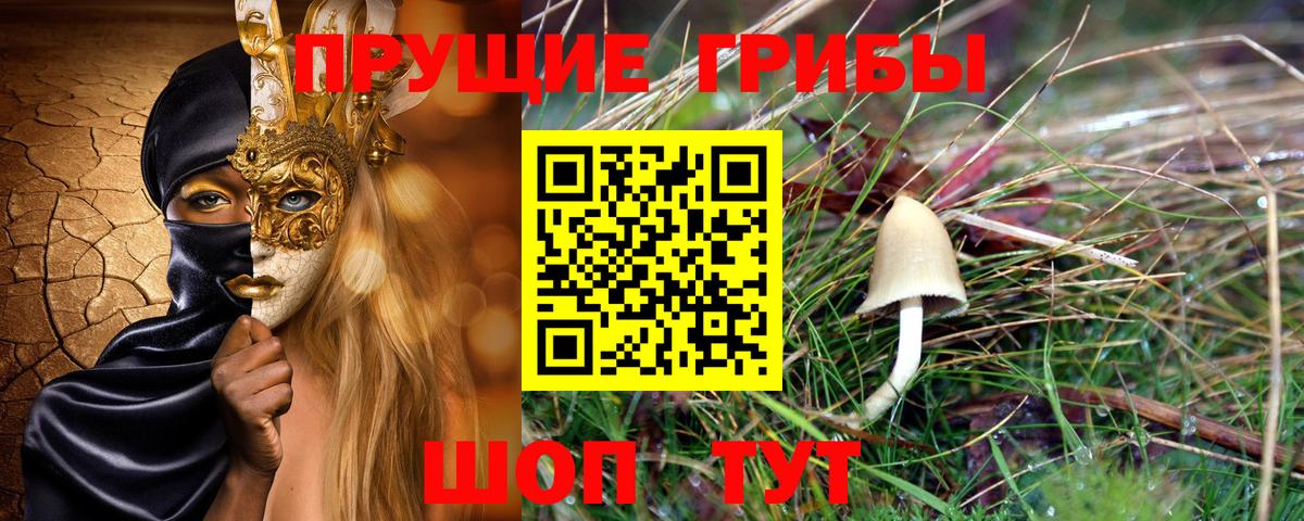 Галлюциногенные грибы Magic Shrooms  Вход с VPN  Кропоткин  Галлюциногенные грибы MAGIC MUSHROOMS 